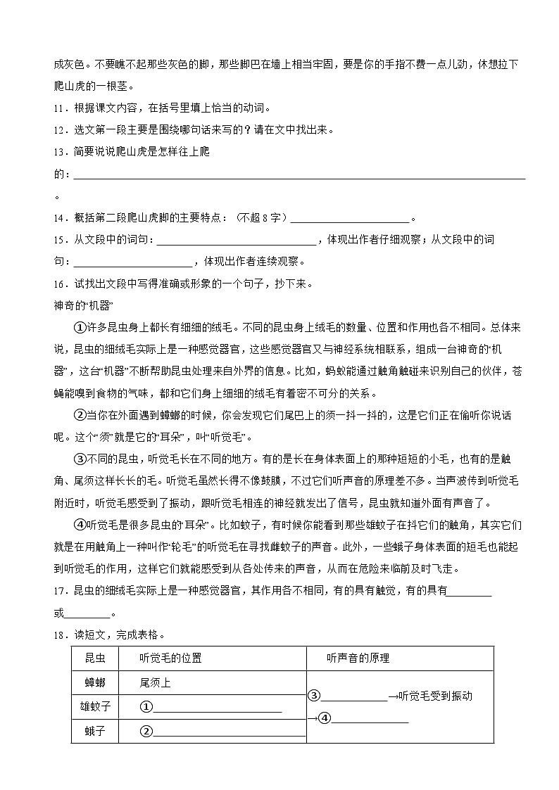 广东省揭阳市揭东区县2023-2024学年四年级上学期语文期末试卷第3页