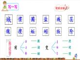 15 真理诞生于一百个问号之后 课件