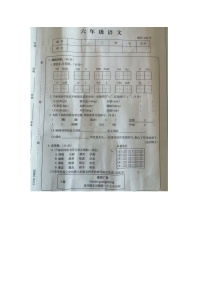 安徽省亳州市2023-2024学年六年级上学期月考语文试题