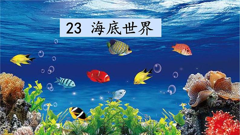 23 海底世界 课件第1页