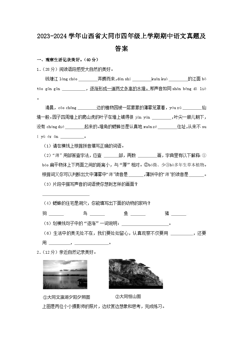 2023-2024学年山西省大同市四年级上学期期中语文真题及答案01