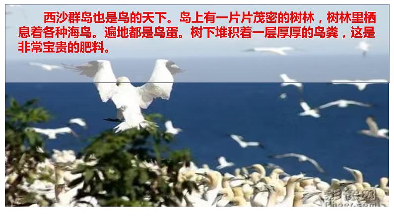 19 海滨小城 课件03