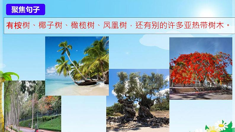 19 海滨小城 课件06