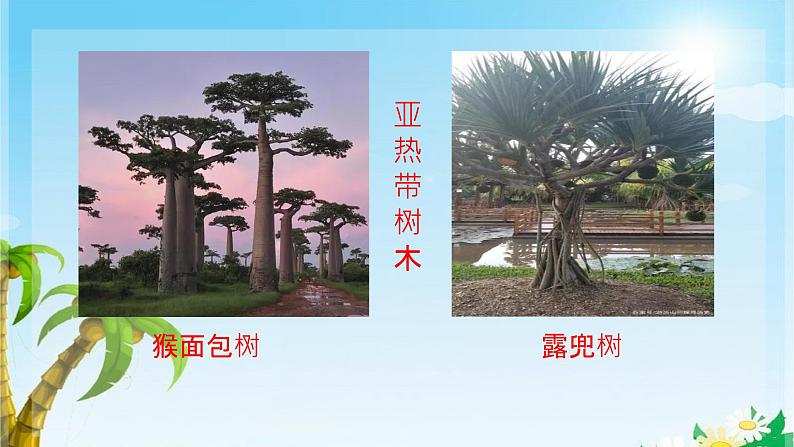 19 海滨小城 课件07