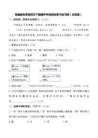 统编版五年级语文下册期中考试综合复习练习题（含答案）