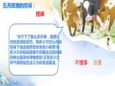 《骑鹅旅行记》阅读推进课 课件