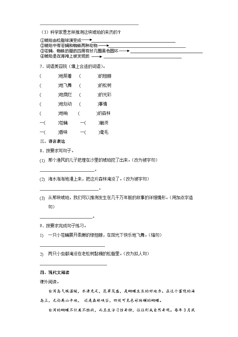 部编版语文四年级下册 5琥珀  同步练习（含解析）第2页