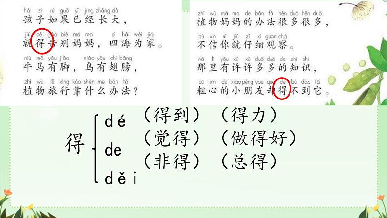 3 植物妈妈有办法 课件 小学语文人教部编版二年级上册06