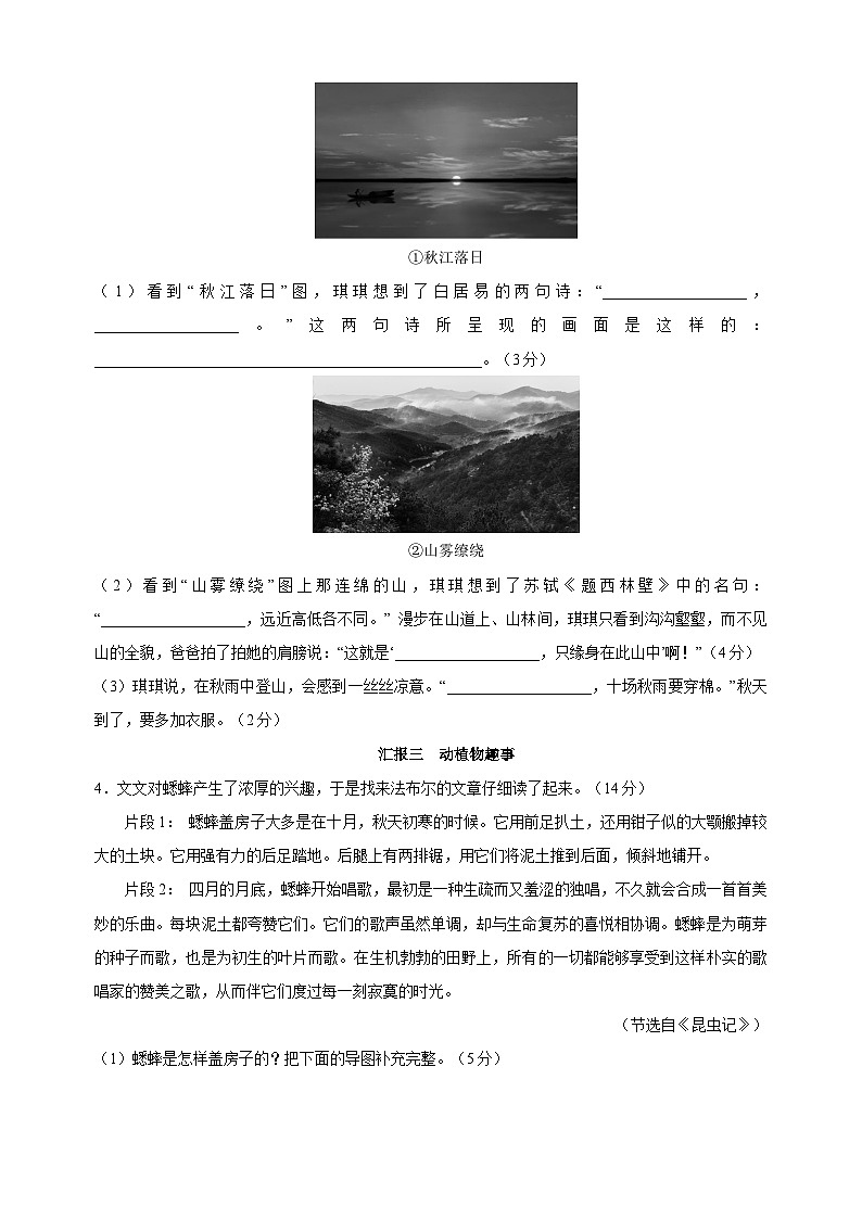 人教部编版统编版语文四年级上册第3单元测试卷（含答案）02