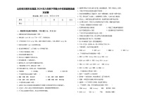 山东省日照市五莲县2024年六年级下学期小升初真题精选语文试卷含答案