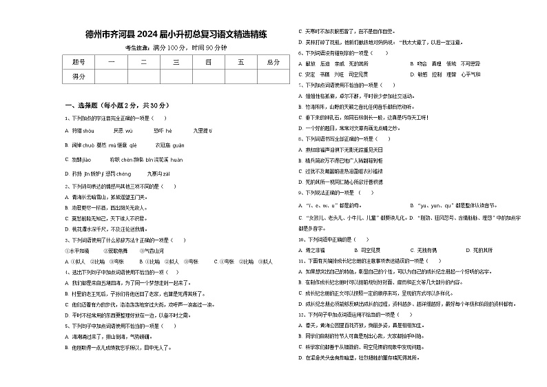 德州市齐河县2024届小升初总复习语文精选精练含答案第1页