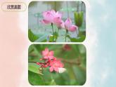 部编版语文四年级下册12《在天晴了的时候》（课件）