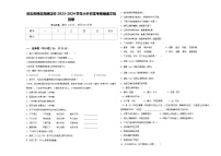 河北省保定高碑店市2023-2024学年小升初常考易错语文检测卷含答案