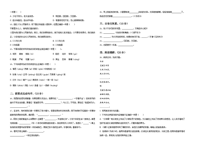 河南省新乡市长垣市2023-2024学年小升初易错点语文检测卷含答案02