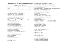 重庆市丰都县2023-2024学年小升初语文高频考点检测卷含答案