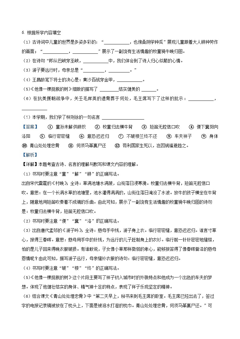2022-2023学年山东省淄博市高青县部编版五年级下册期中考试语文试卷（解析版）第3页