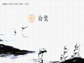 部编版小学语文五年级上册第一单元第一课《白鹭》PPT课件 （第一课时）