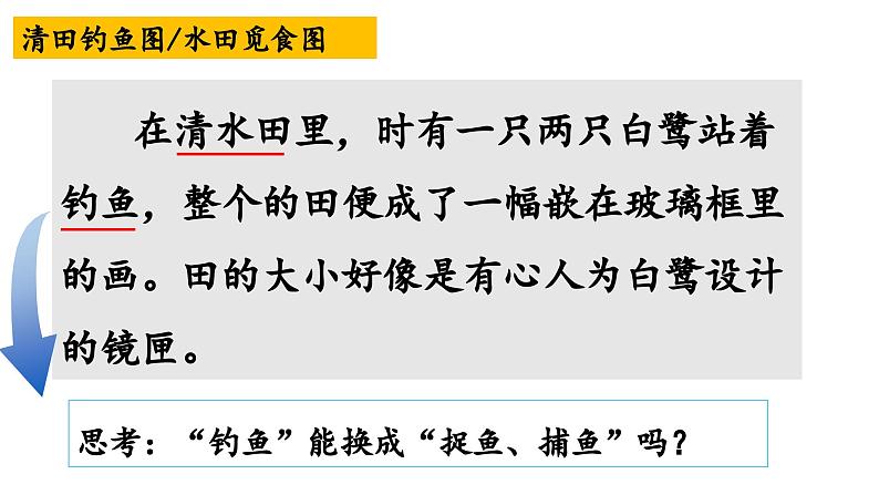 部编版小学语文五年级上册第一单元第一课《白鹭》PPT课件 （第二课时+内嵌音频）第5页