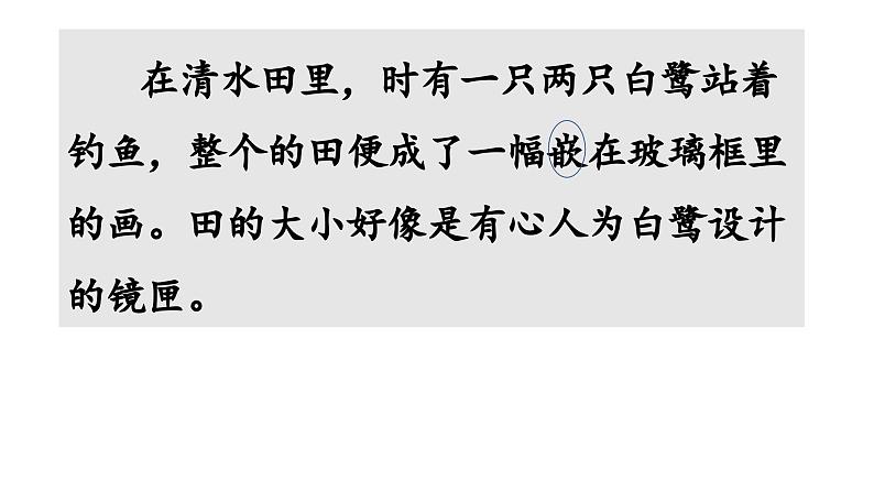 部编版小学语文五年级上册第一单元第一课《白鹭》PPT课件 （第二课时+内嵌音频）第7页