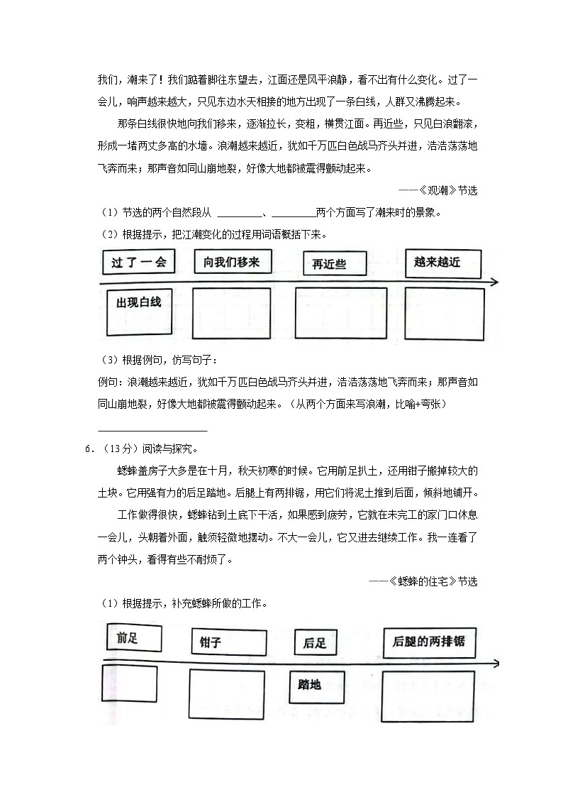 河南省三门峡市灵宝市2023-2024学年四年级上学期期中语文试卷02