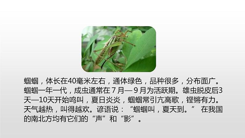 表里的生物PPT课件3第6页