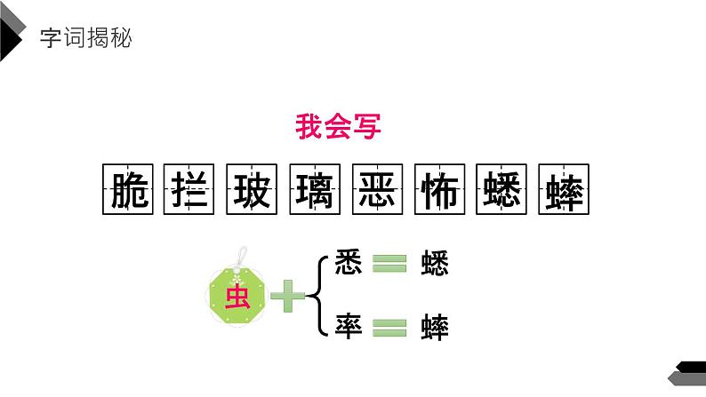 表里的生物PPT课件5第8页