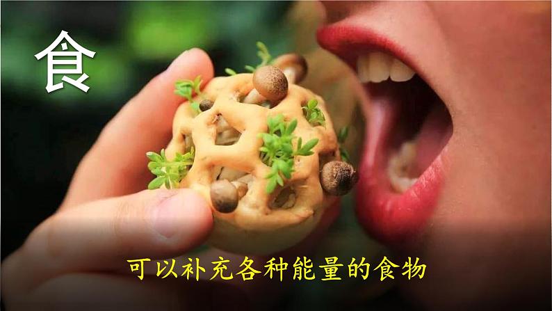 插上科学的翅膀飞PPT课件6第6页
