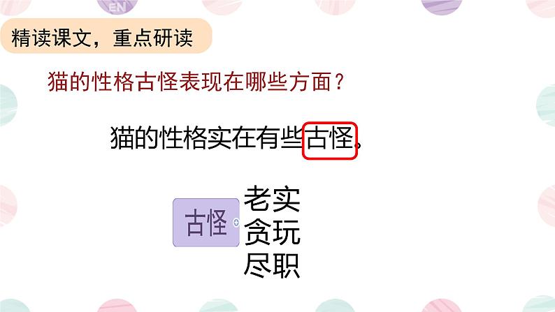 13 猫 课件 小学语文人教部编版四年级下册第4页