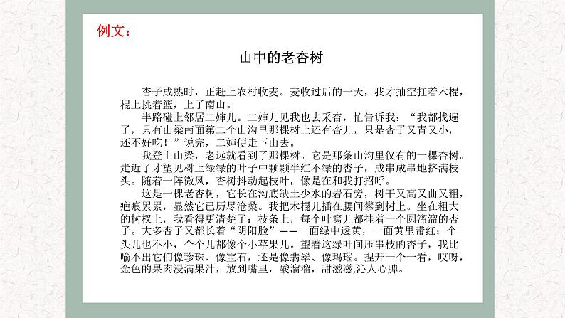 4  专题二、 写景状物类文章阅读 （课件）2024学年小升初语文考点突破08