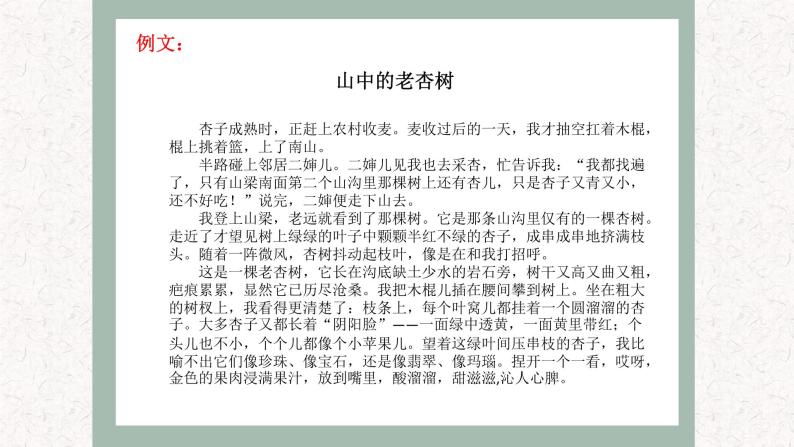 4  专题二、 写景状物类文章阅读 （课件）2024学年小升初语文考点突破08