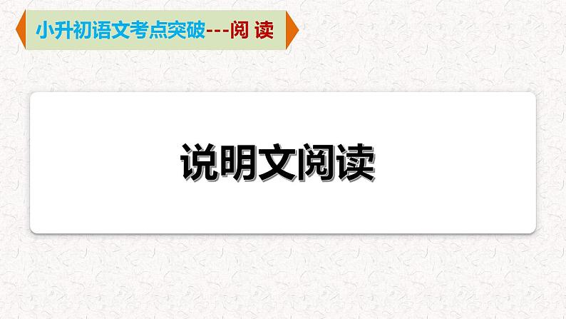 9   专题六、 说明文阅读（课件）2024学年小升初语文考点突破01