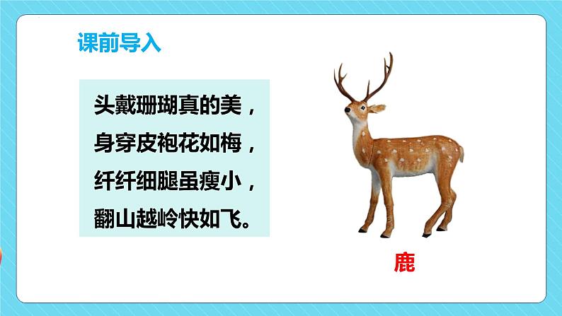 第7课 《鹿角和鹿腿》第一课时（教学课件）-2023-2024学年三年级语文下册同步精品课堂系列（统编版·五四制）04