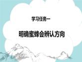 第14课 《蜜蜂》第二课时（教学课件）-2023-2024学年三年级语文下册同步精品课堂系列（统编版·五四制）