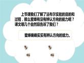 第14课 《蜜蜂》第二课时（教学课件）-2023-2024学年三年级语文下册同步精品课堂系列（统编版·五四制）
