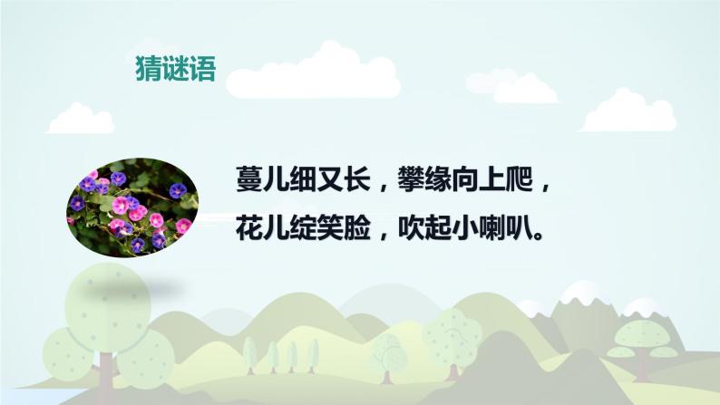 习作：我的植物朋友（教学课件）-2023-2024学年三年级语文下册同步精品课堂系列（统编版·五四制）08