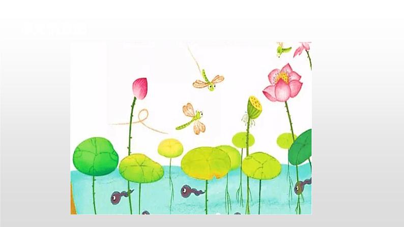 动物儿歌PPT课件5第3页