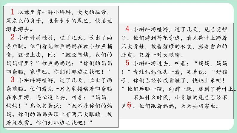 【核心素养】部编版小学语文二上  1 《小蝌蚪找妈妈》        课件+教案04