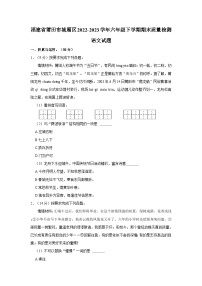 福建省莆田市城厢区2022-2023学年六年级下学期期末质量检测语文试题（含答案）