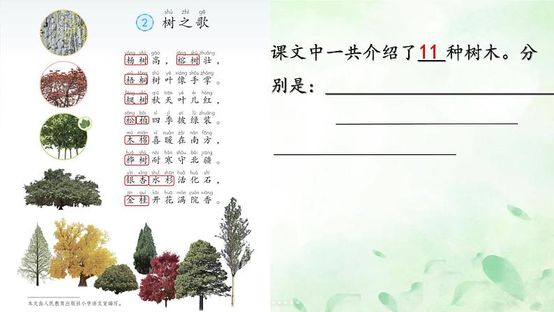 部编版小学语文二上识字2《树之歌》课件+教案+预学单+共学单+延学单04