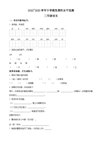 2022-2023学年河南省漯河市舞阳县部编版三年级下册期中考试语文试卷（原卷版+解析版）