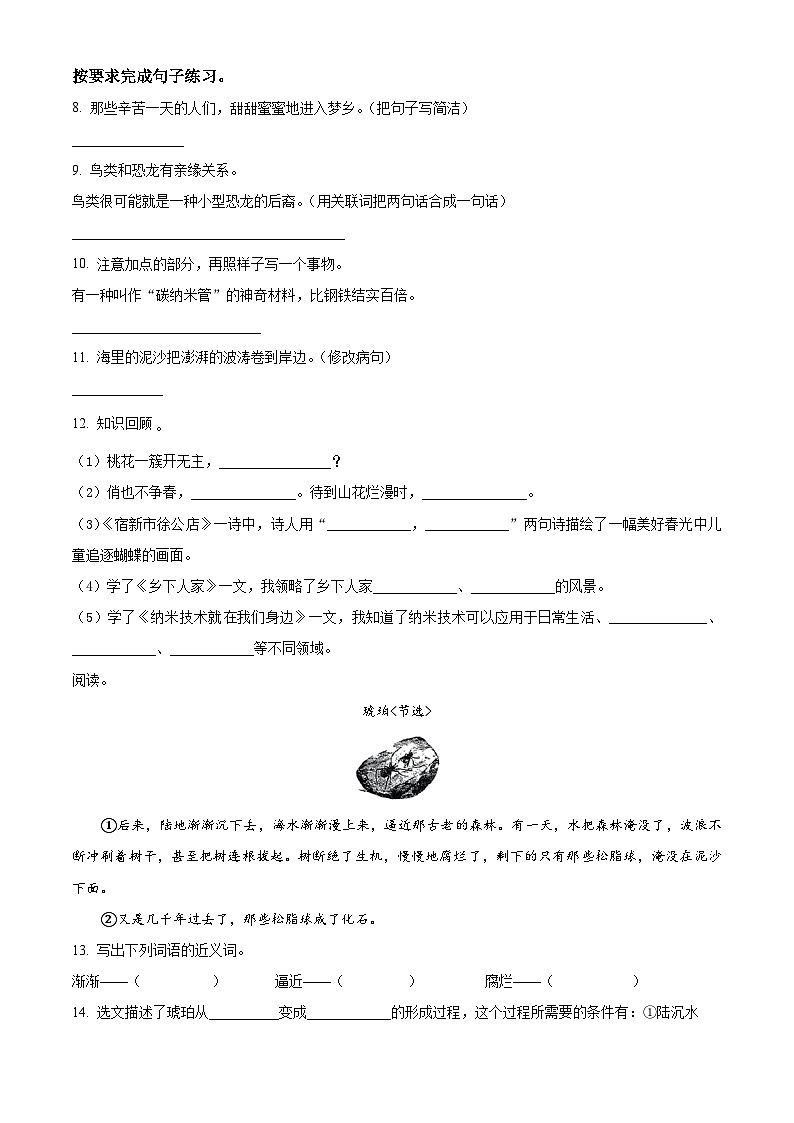 2023-2024学年河南省周口市沈丘县中英文等校部编版四年级下册3月月考语文试卷（原卷版）第2页