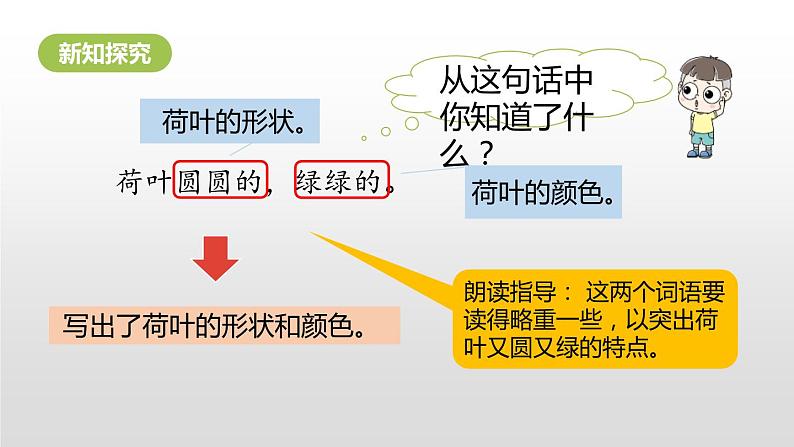 荷叶圆圆PPT课件7第4页