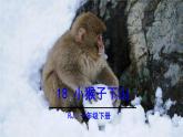 小猴子下山PPT课件2