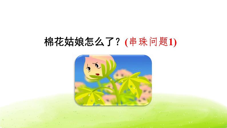 棉花姑娘PP学课件3第4页