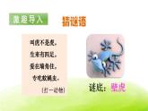 小壁虎借尾巴PPT课件7