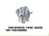 大象的耳朵PPT课件7