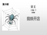 蜘蛛开店PPT课件3