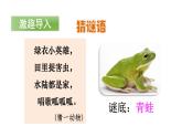 青蛙卖泥塘PPT课件3