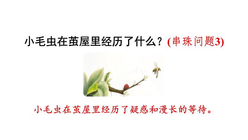 小毛虫PPT课件7第8页