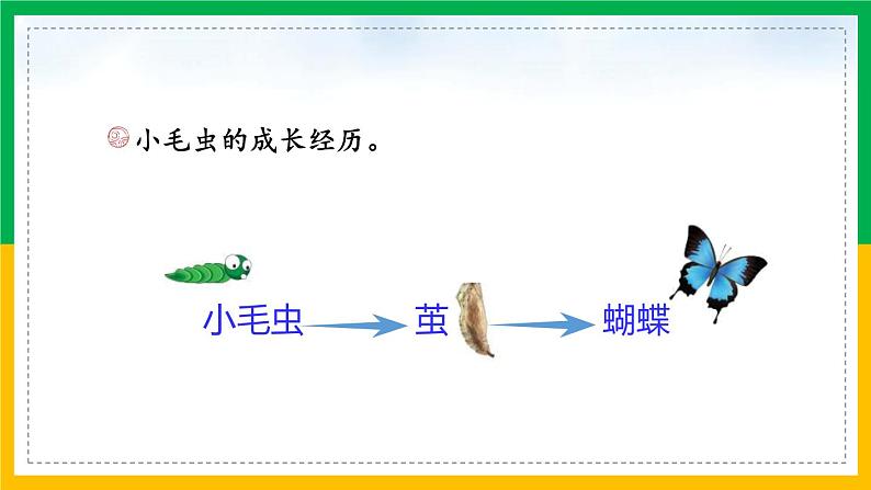 小毛虫PPT课件5第2页